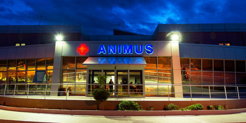 ANIMUS Center